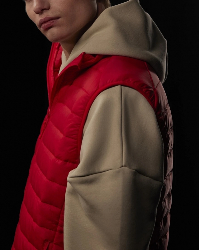 Photo de B&C Reset Bodywarmer