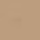 Toallas Jassz Toallas 30x50 color Sand :: Ref: sand Toallas Jassz Toallas 30x50 color Sand :: Ref: sand