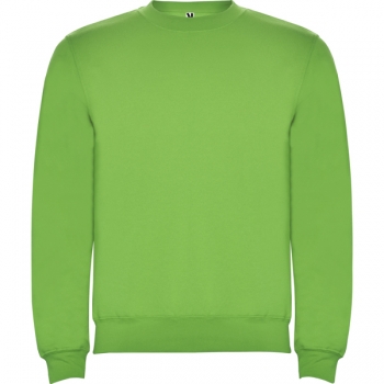 Sudaderas Roly Clasica k color Oasis green :: Ref: 114 Sudaderas Roly Clasica k color Oasis green :: Ref: 114
